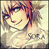 Sora Avatar