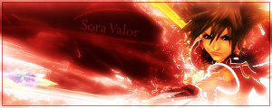 Kingdom Hearts 2 Sora Valor Form Midnight Signature